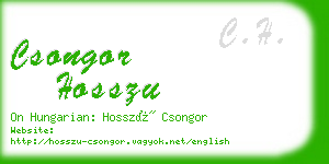csongor hosszu business card